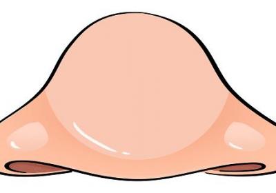 眉眼嘴鼻的故事 眉眼嘴鼻的故事是什么