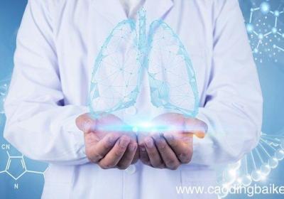 生命现象的基本特征是哪些生命现象的基本特征是什么