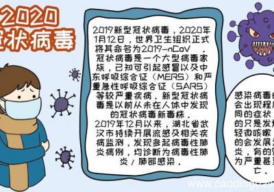 2020冠状病毒手抄报内容简单 2020冠状病毒手抄报内容简单画法