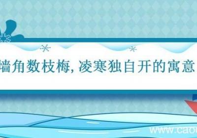 墙角数枝梅凌寒独自开的寓意 墙角数枝梅凌寒独自开的寓意是什么