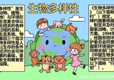 生物多样性手抄报图片 生物多样性手抄报怎么画