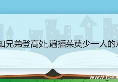 遥知兄弟登高处,遍插茱萸少一人的意思 遥知兄弟登高处,遍插茱萸少一人翻译