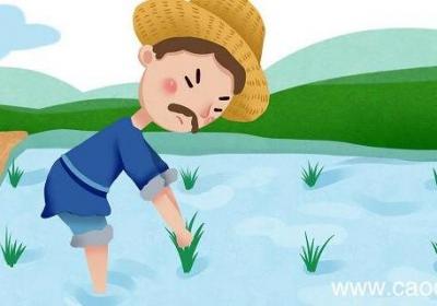 拔苗助长文言文翻译 拔苗助长文言文全文译文