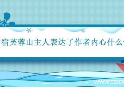 逢雪宿芙蓉山主人表达了作者内心什么情感 逢雪宿芙蓉山主人的主题思想