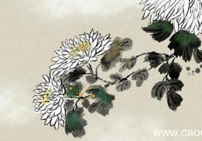 野菊杨万里颔联描绘了怎样的野菊形象 野菊表达了怎样的思想感情