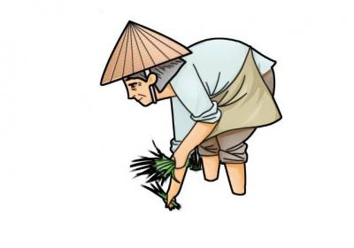 农民插秧简笔画怎么画农民插秧简笔画画法