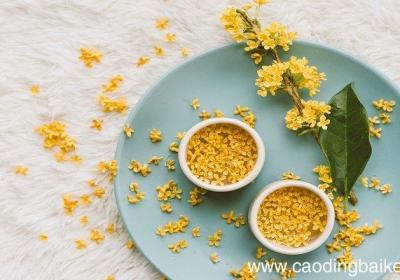 关于桂花的词有哪些 有哪些写桂花的词语