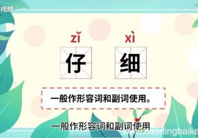 仔细的意思 仔细的意思是什么