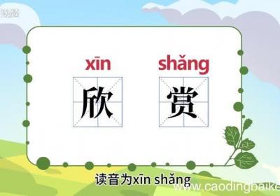 欣赏的意思 欣赏什么意思
