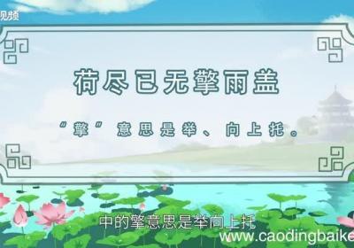 荷尽已无擎雨盖的擎是什么意思荷尽已无擎雨盖的擎的意思