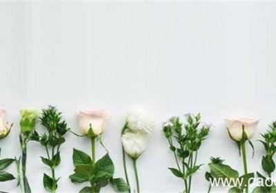 赠人玫瑰手有余香的意思 赠人玫瑰手有余香的意思是什么