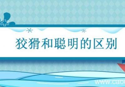 狡猾和聪明的区别 聪明狡猾的意思