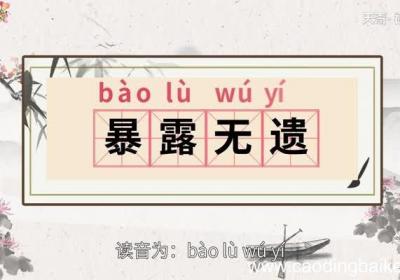 暴露无遗的意思 暴露无遗的出处