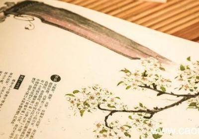 观沧海从体裁看是什么诗 观沧海属于哪一类诗