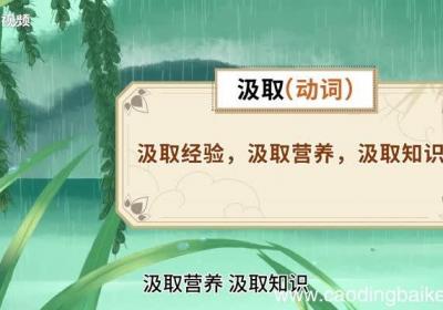 汲取的意思 汲取是什么意思