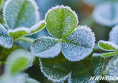 霜前冷,雪后寒的物理原因 霜前冷雪后寒是什么物理现象