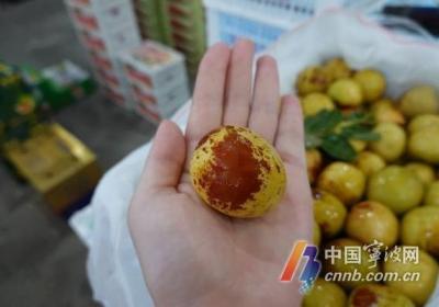 夏季上市的为啥叫冬枣？“甜蜜季节”里 它的糖度高达30度