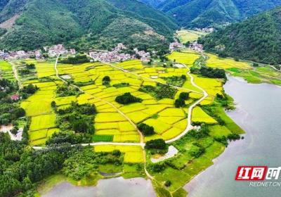 湖南新田：山村“丰”景如画组图