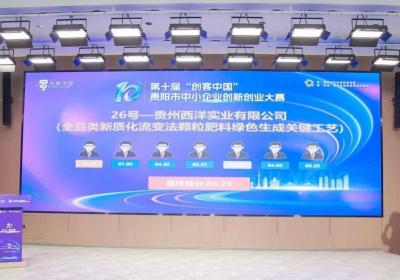 西洋诺威施针状肥工艺荣获“创客中国”大赛优秀奖