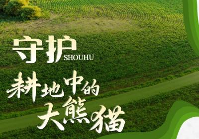 吉林省黑土地保护日特别海报｜护黑土 稳粮仓 向未来