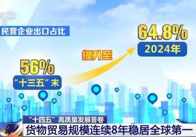 “含金量”“含新量”持续攀升 我国货物贸易规模连续8年全球第一