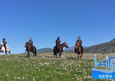青阳沟女子管护队：祁连山深处的巾帼卫士