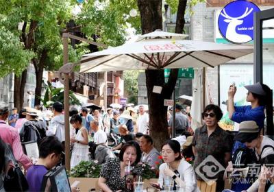 盛夏入伏时节 清凉春城引客来