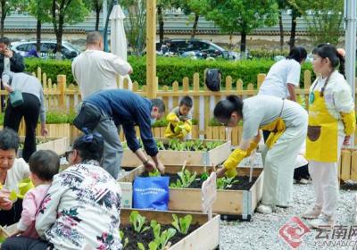 昆明王家桥社区“荟美田园·共享花园”种植活动启动