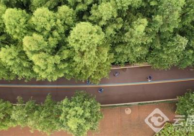 2025奔跑彩云南·寻梦古滇定向季首站赛开赛