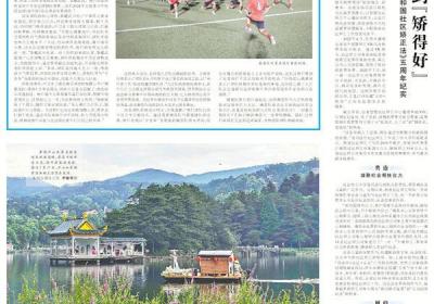 稻田里有了“黑科技” 助力实现碳中和
