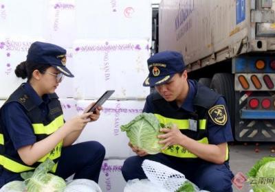 上半年河口口岸跨境客货运输实现两位数增长