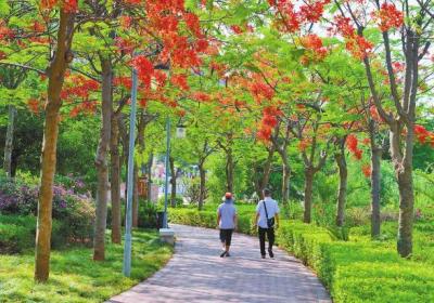 旅居云南 | 元谋不断深化医养融合：跨城养老 生活添彩
