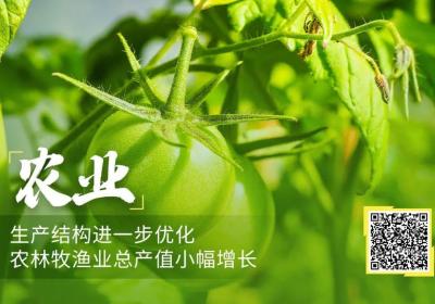 一文速览｜五大领域来看2025年上半年北京经济