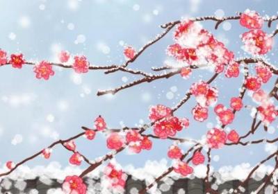 雪梅古诗的诗意及原文 雪梅古诗表达了什么感情