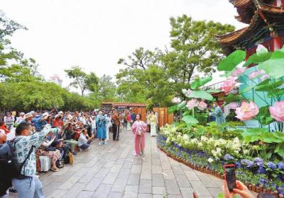 翠湖荷花文化旅游季启动