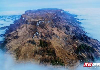 湖南旅游资源新发现丨揭秘！湘西这里曾是大熊猫乐园