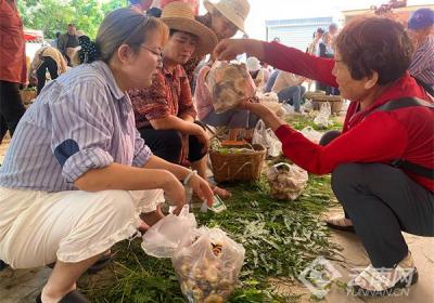 易门野生菌市场交易火爆 “鲜”气十足引客来