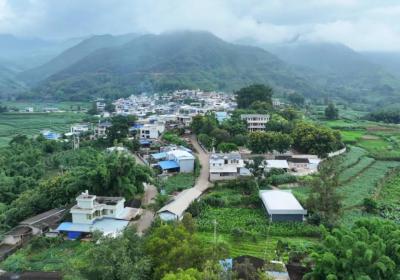 双江：十年桑蚕路 织就乡村振兴“致富绸”
