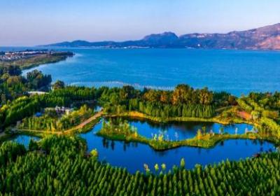 云南省深入推进“九湖环保卫士”志愿服务活动——守护高原明珠 共绘生态新景