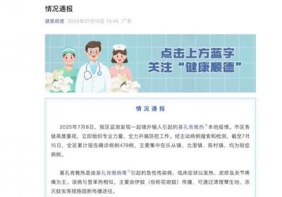 广东佛山顺德区报告478例基孔肯雅热病例，医生建议应对措施