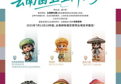 “菌香之旅”怎么玩？昆明六大打卡点带来新体验