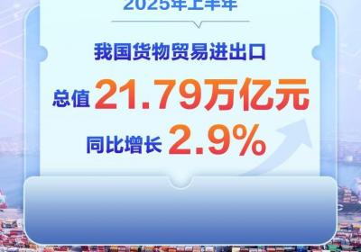 增长2.9% 2025年中国外贸半年报出炉