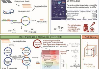 科学家发现家畜粪便含有大量新型耐药基因