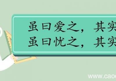 虽曰爱之其实害之虽曰忧之其实仇之翻译 虽曰爱之其实害之虽曰忧之其实仇之的翻译