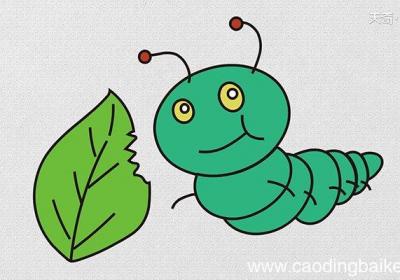 吃草的虫子简笔画教程吃草的虫子简笔画步骤