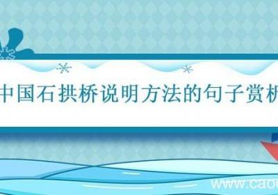 中国石拱桥说明方法的句子赏析 中国石拱桥的说明方法