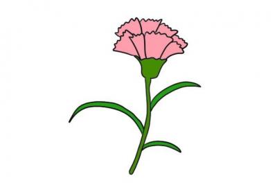 母亲节康乃馨画法母亲节康乃馨步骤