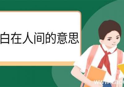 要留清白在人间的意思 要留清白在人间翻译