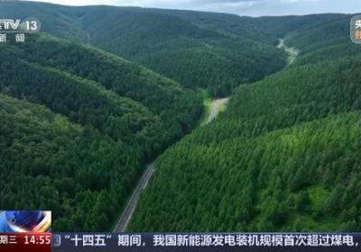 周末到河北 看万亩林海无穷碧