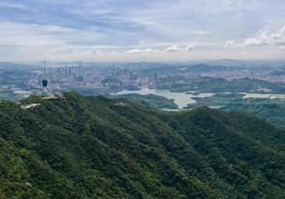 广东绿美点成生态惠民新空间